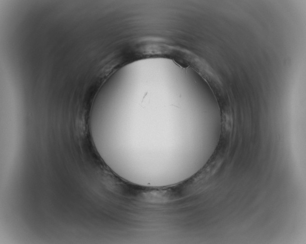 X0000113130422200909110918