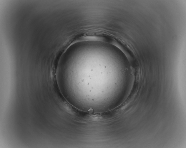 X0000113130424200909110918