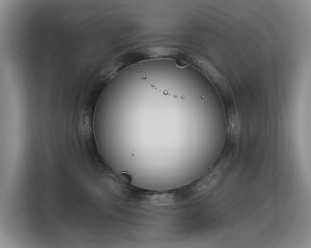 X0000113130426200909110918