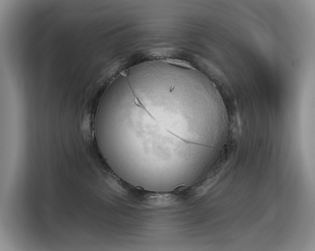 X0000113130428200909110918