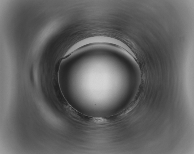 X0000113130429200909110918