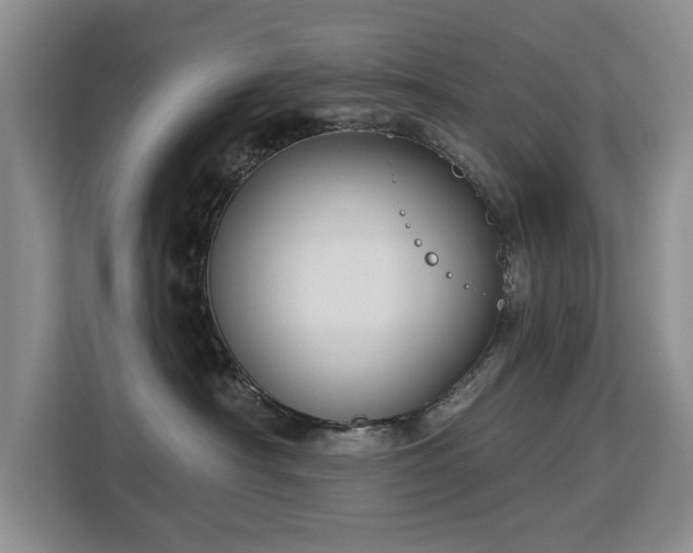 X0000113130430200909110918