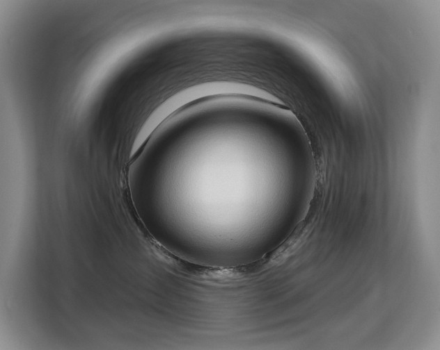 X0000113130431200909110918