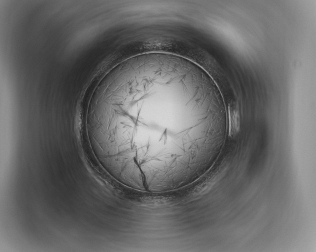 X0000113130435200909110917