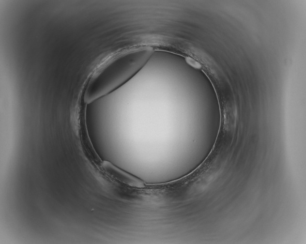 X0000113130436200909110917