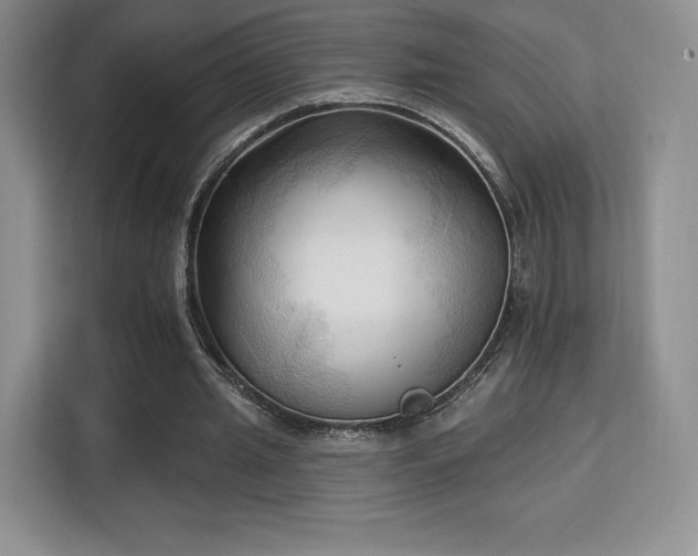 X0000113130437200909110917