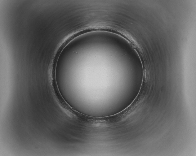 X0000113130438200909110917