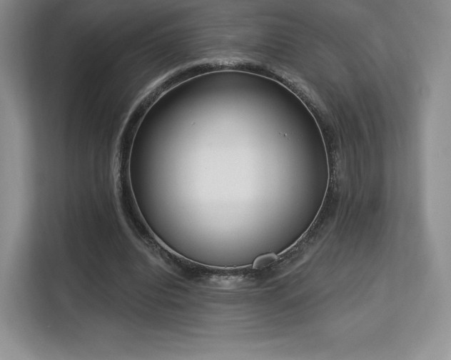 X0000113130440200909110917