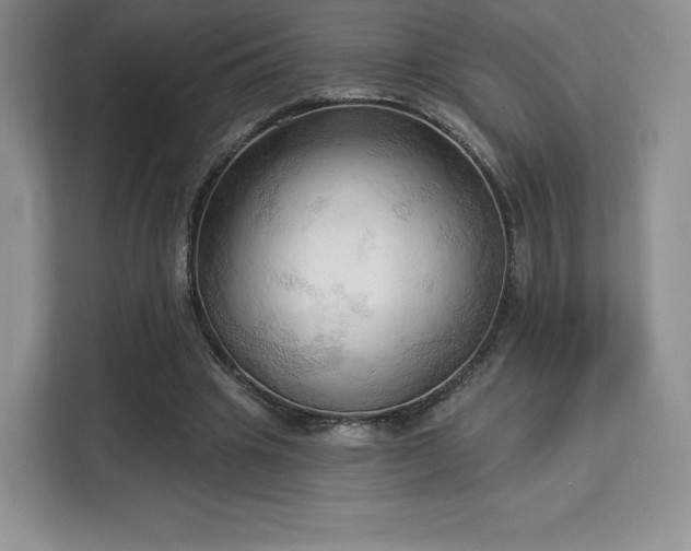 X0000113130441200909110917