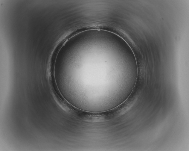 X0000113130443200909110917