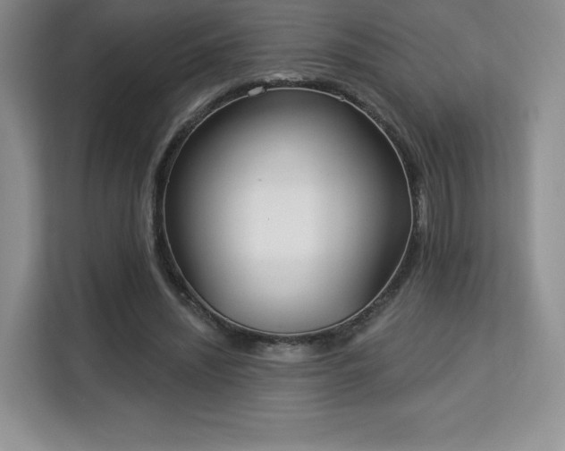 X0000113130444200909110917