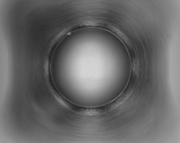 X0000113130445200909110917