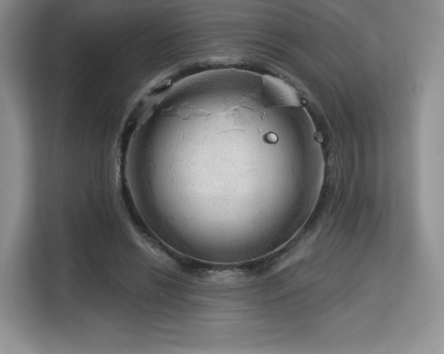 X0000113130446200909110917