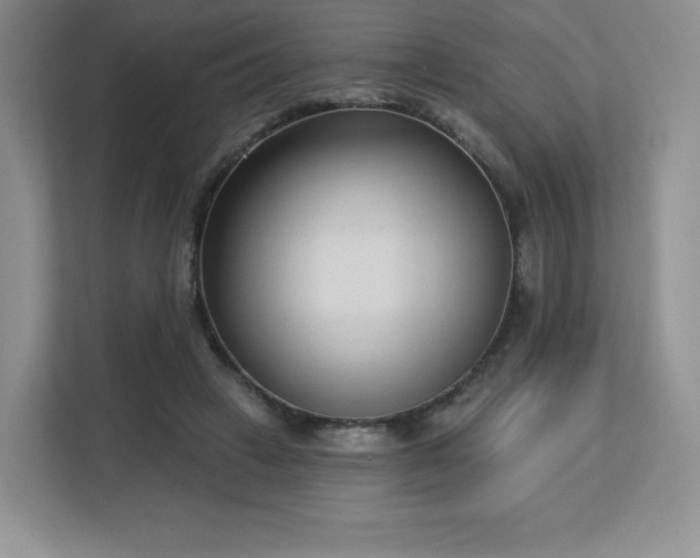 X0000113130449200909110917