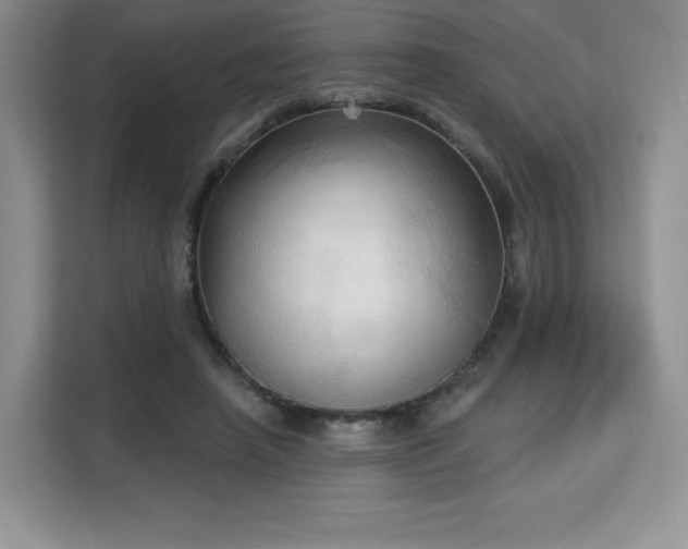 X0000113130450200909110917