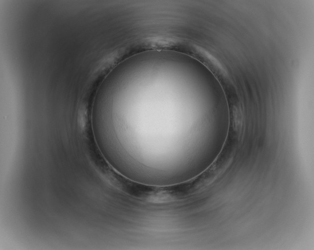 X0000113130451200909110917