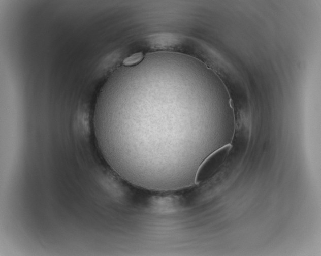 X0000113130452200909110917