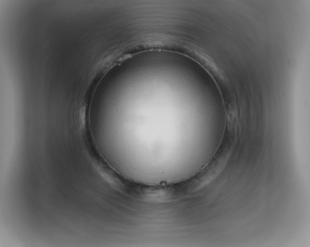 X0000113130454200909110917