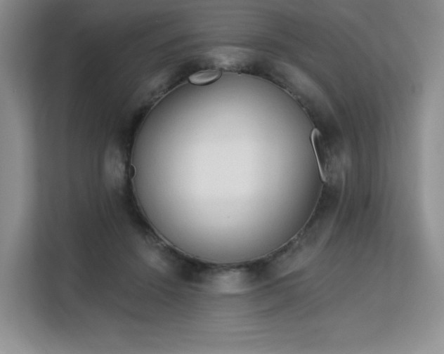 X0000113130456200909110917