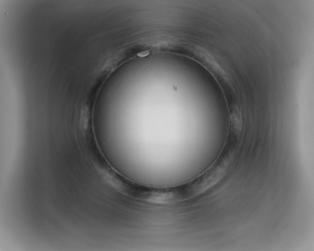 X0000113130458200909110917