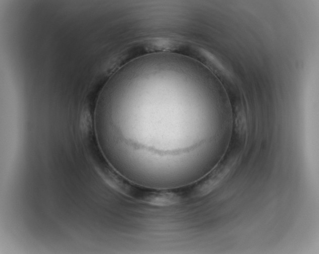 X0000113130459200909110917