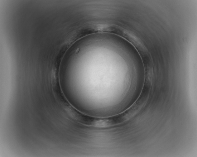 X0000113130461200909110917