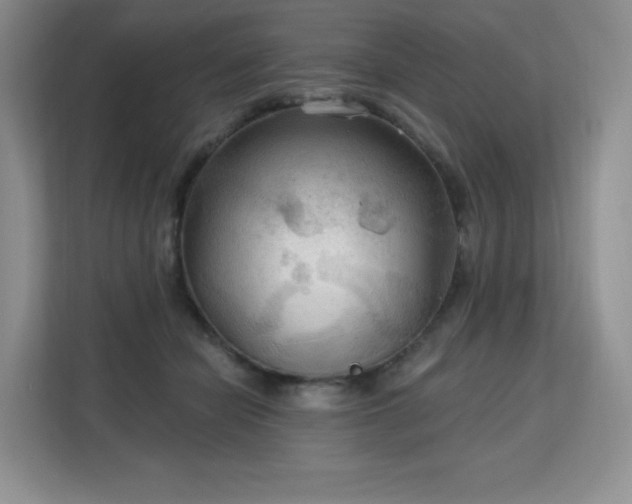 X0000113130462200909110917