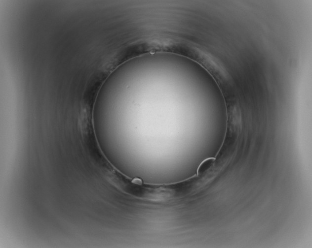 X0000113130463200909110917