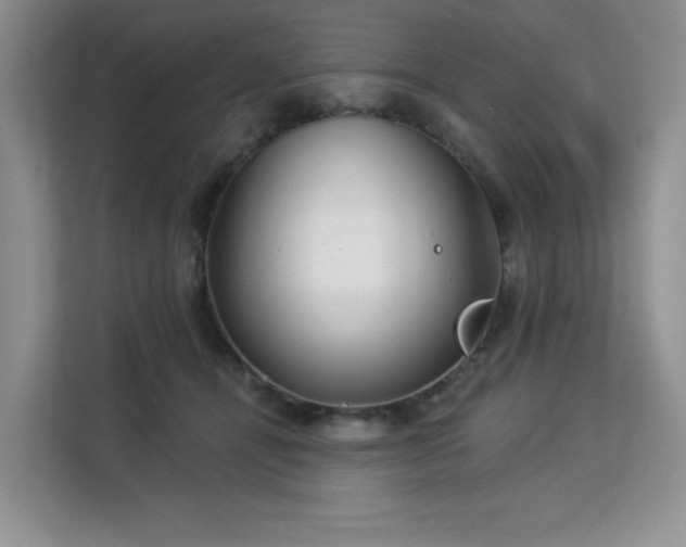 X0000113130464200909110917