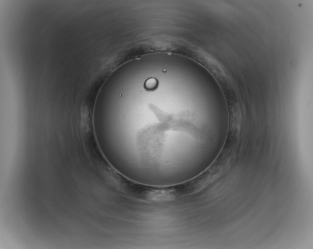 X0000113130465200909110917