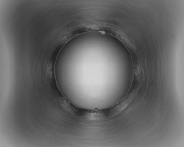 X0000113130466200909110917