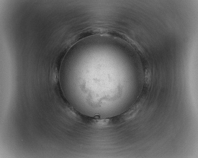 X0000113130474200909110917