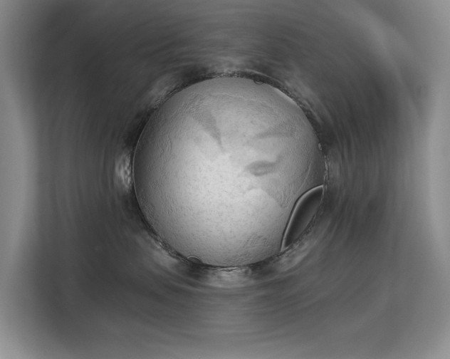 X0000113130479200909110917