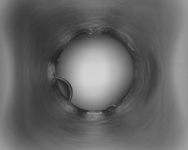 X0000113130480200909110917