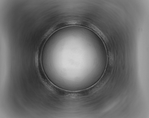 X0000113130482200909110917