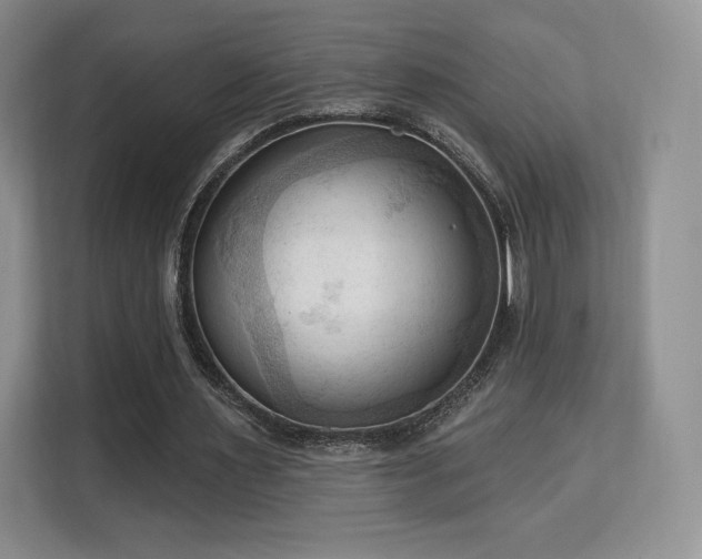 X0000113130483200909110917