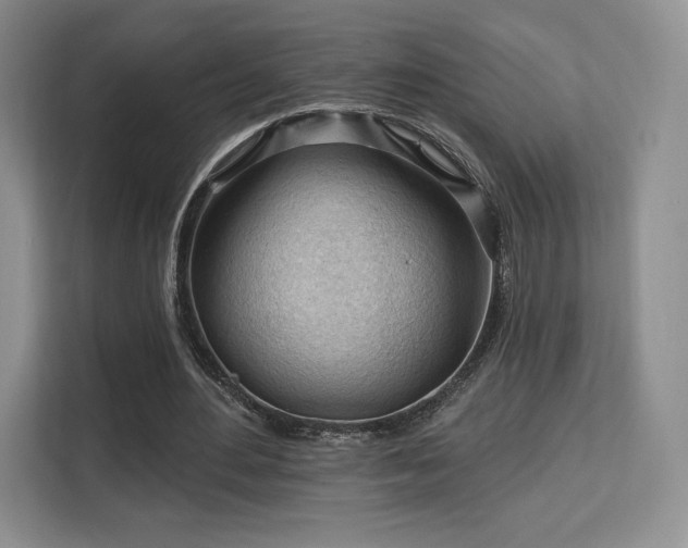 X0000113130484200909110917