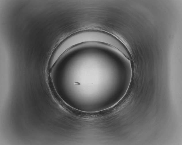 X0000113130485200909110917