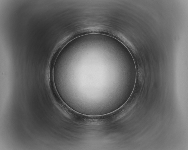 X0000113130486200909110917