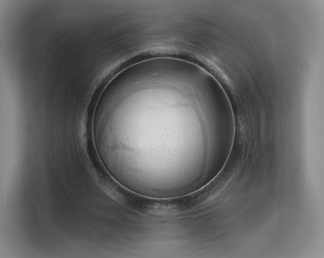 X0000113130487200909110917