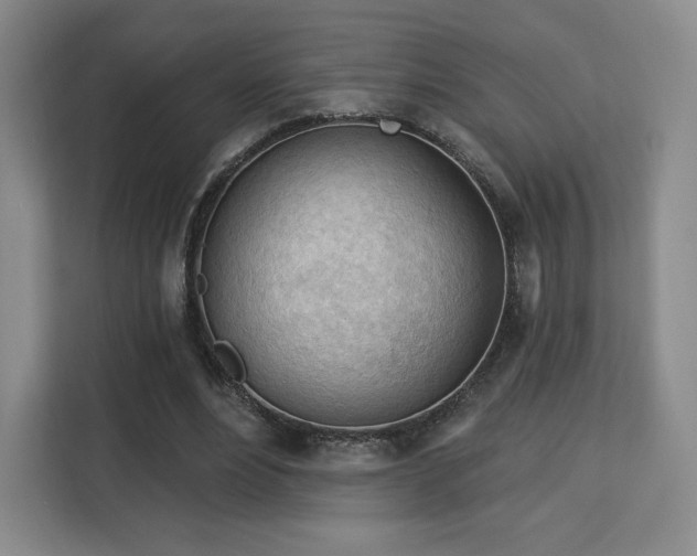 X0000113130488200909110917