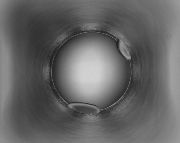 X0000113130489200909110917