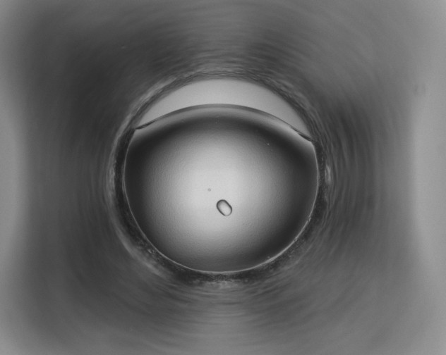 X0000113130492200909110917