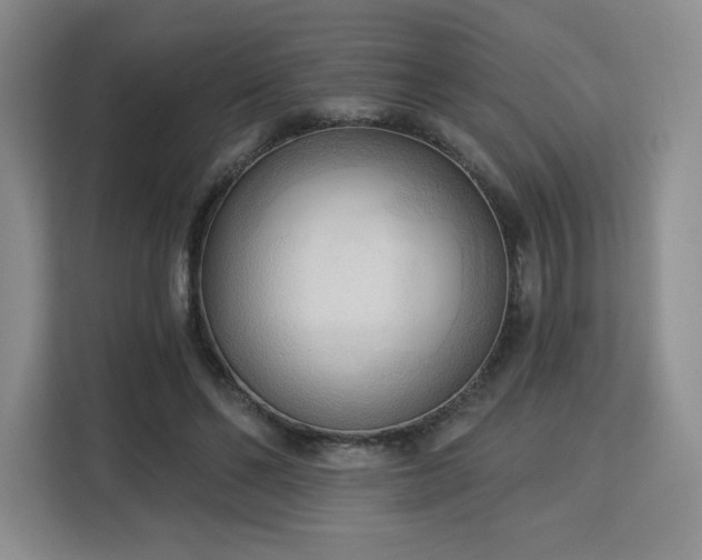 X0000113130494200909110917