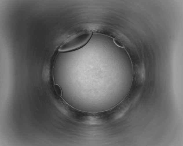 X0000113130496200909110917