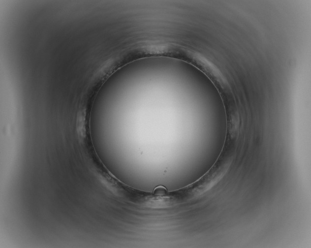 X0000113130497200909110917