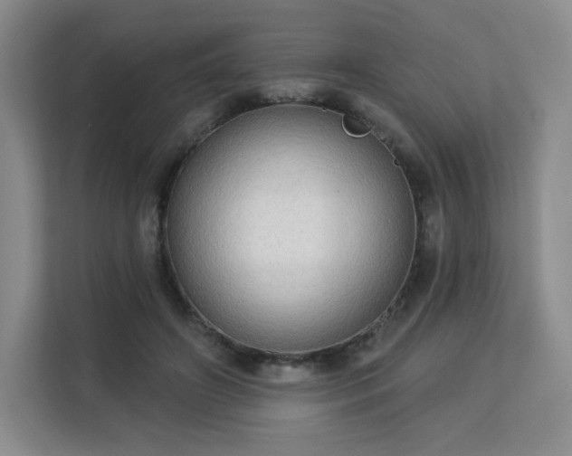 X0000113130498200909110917