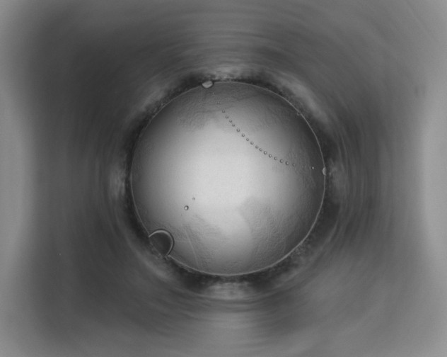 X0000113130499200909110917