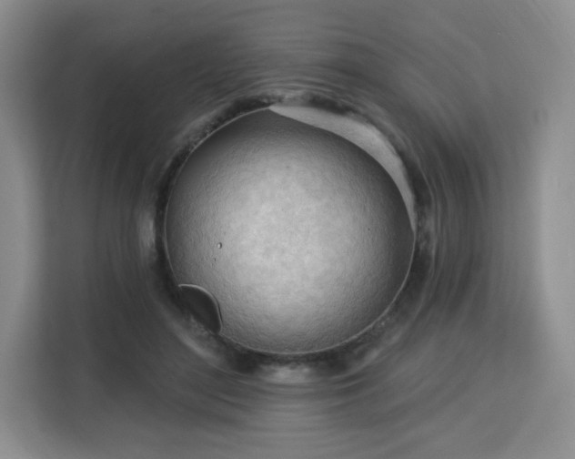 X0000113130500200909110917