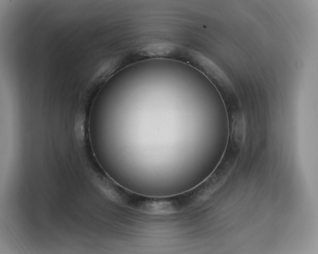 X0000113130501200909110917